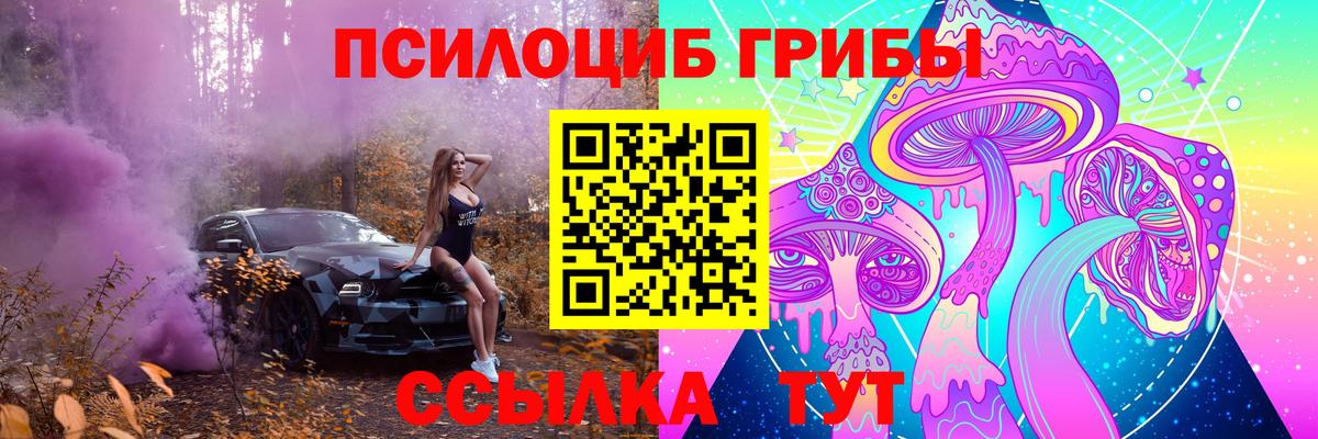 Галлюциногенные грибы Psilocybine cubensis  Вход с VPN  Брянск 