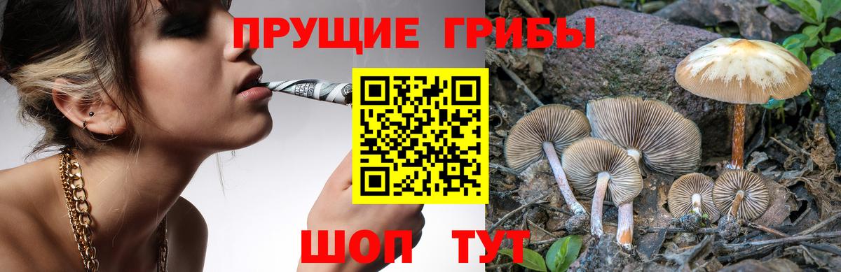 Галлюциногенные грибы прущие грибы Брянск