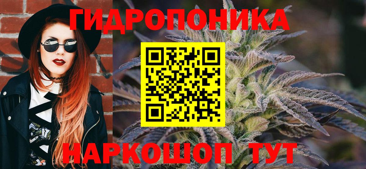 Каннабис OG Kush  МАРИХУАНА план  Бошки марихуана Ganja  Брянск  Вход с VPN  Бошки марихуана Amnesia 